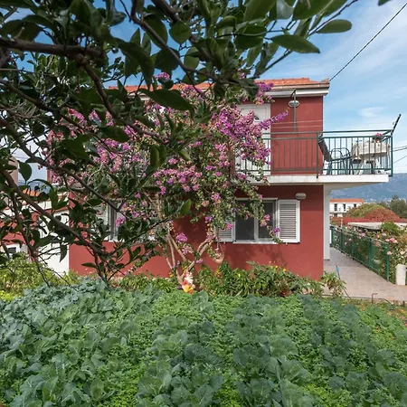 With Parking Space Slatine, Ciovo - 16732 Apartamento *